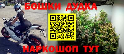 ешки Будённовск