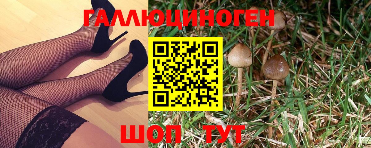 Тимашёвск  Галлюциногенные грибы Psilocybine cubensis  Вход с VPN  Галлюциногенные грибы мицелий 